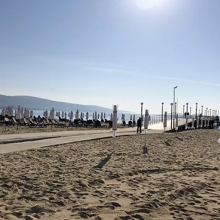 Flamingo サニービーチ