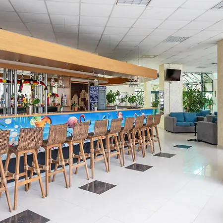 Flamingo Słoneczny Brzeg