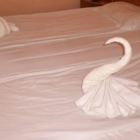 Flamingo Hotel