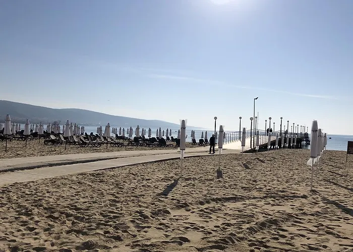 Flamingo Сонячний Берег