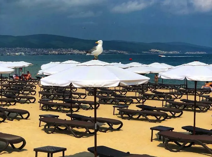 Готель Flamingo 3*